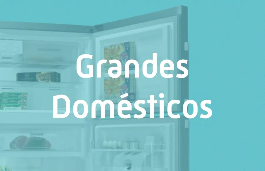 Grandes Domésticos