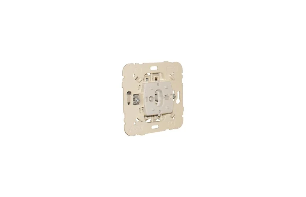 Botao Botao 10a 250v