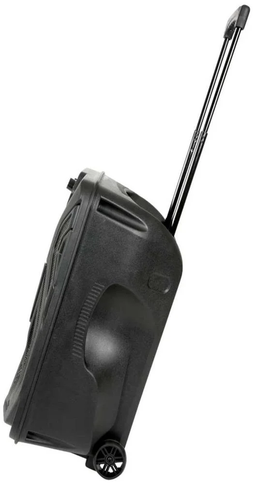 Busker-12 Pa + 2 X Vhf Mics + Usb/Sd/Fm/Bt