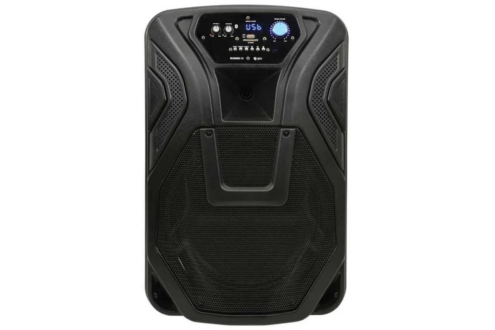Busker-12 Pa + 2 X Vhf Mics + Usb/Sd/Fm/Bt