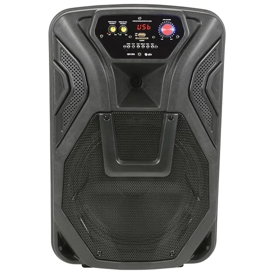 Busker-12 Pa + 2 X Vhf Mics + Usb/Sd/Fm/Bt