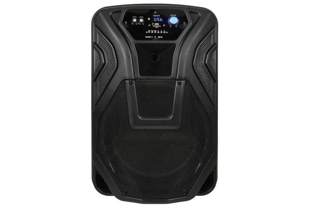 Busker-15 Pa + 2 X Vhf Mics + Usb/Sd/Fm/Bt