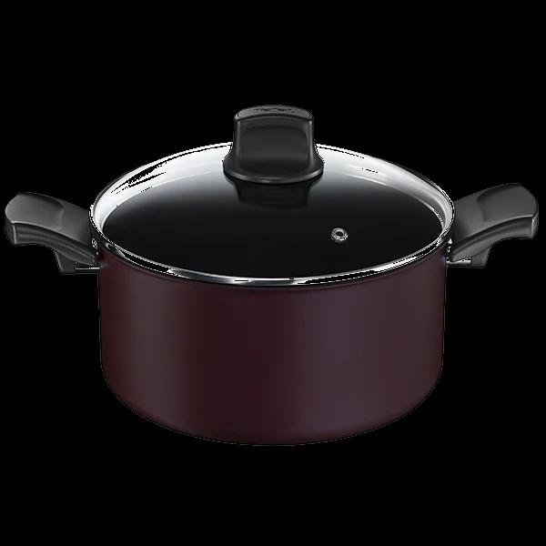 Tacho Tefal Titanium Signature Ind. Tampa de 24 C.