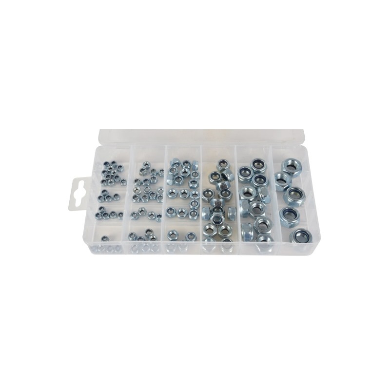 Set de 100 Frutos Secos Surtidos