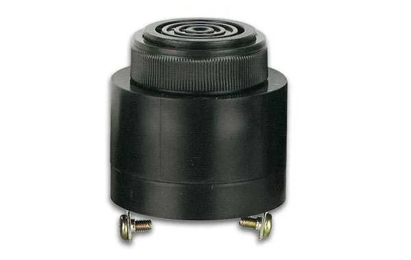 Escarabajo No Polarizado Ac/Dc 220v