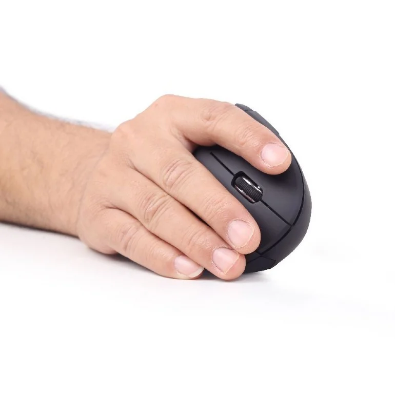 Gembird Musw-Ergo-01 Mouse Right-Hand Rf Wireless Optical 1600 Dpi