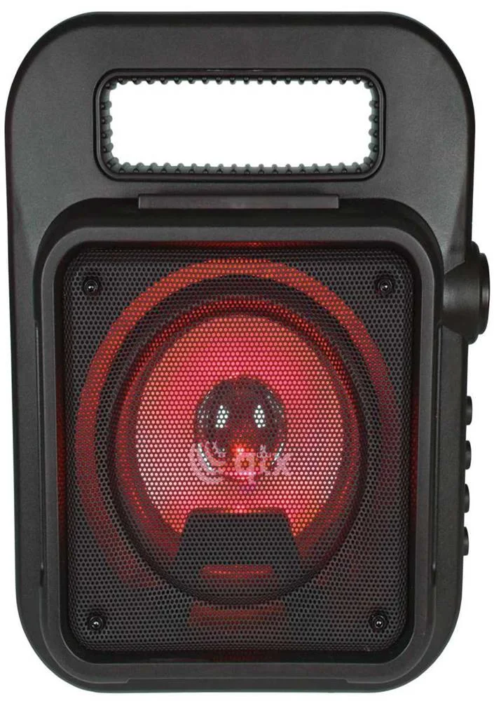 Portable Bluetooth Party Speaker