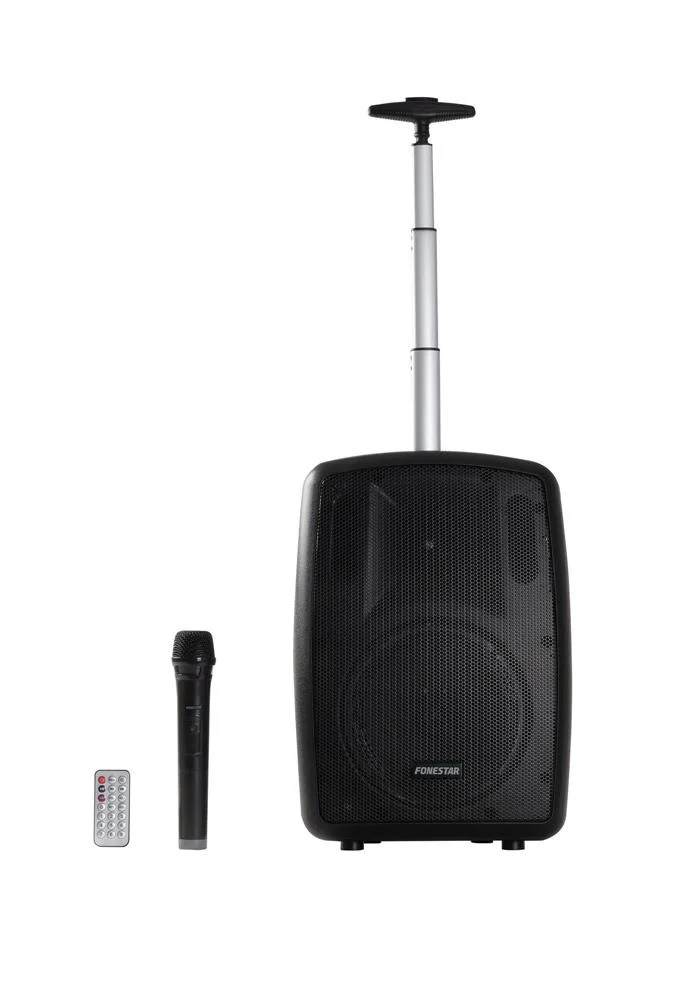 Amplificador Portatil 100W