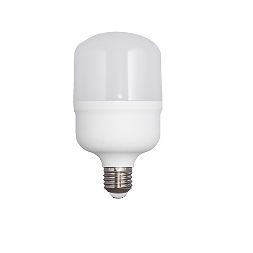 LAMPADA LED E27 T100 30W 6500K