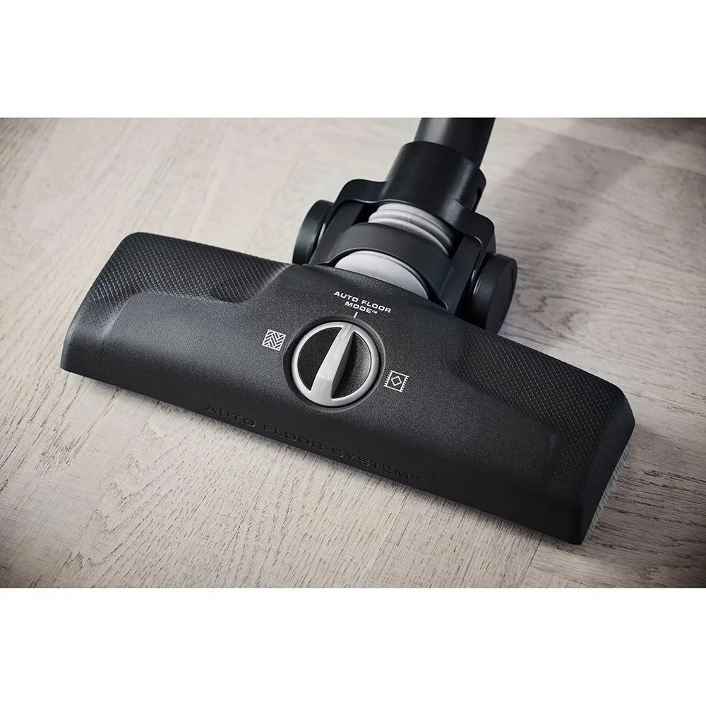 Escova DustMagnet ZE062