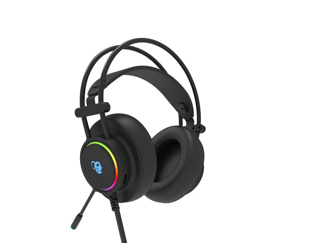 Headphones + Mic Deepgaming    Accs