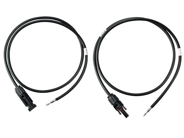 Cabo de Entrada com Conectores (2 Uds.)