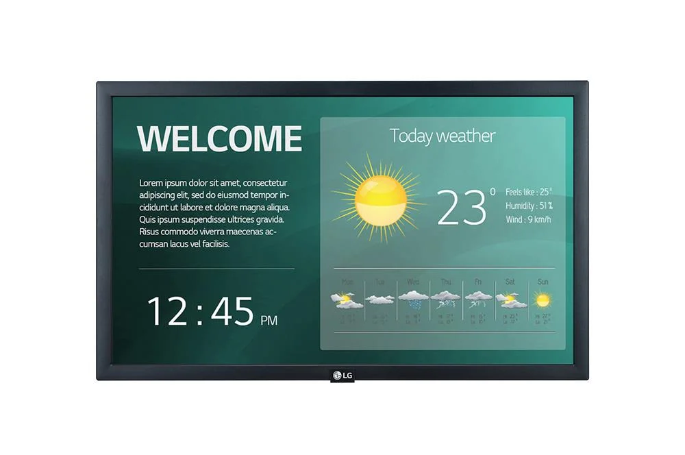 22sm3g 22in LED Ips 1920x1080  Lfd
