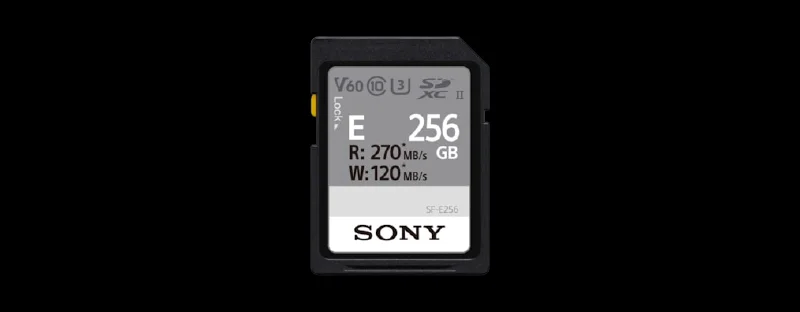 Sony Sdxc Série e 256gb Uhs-Ii Classe 10.