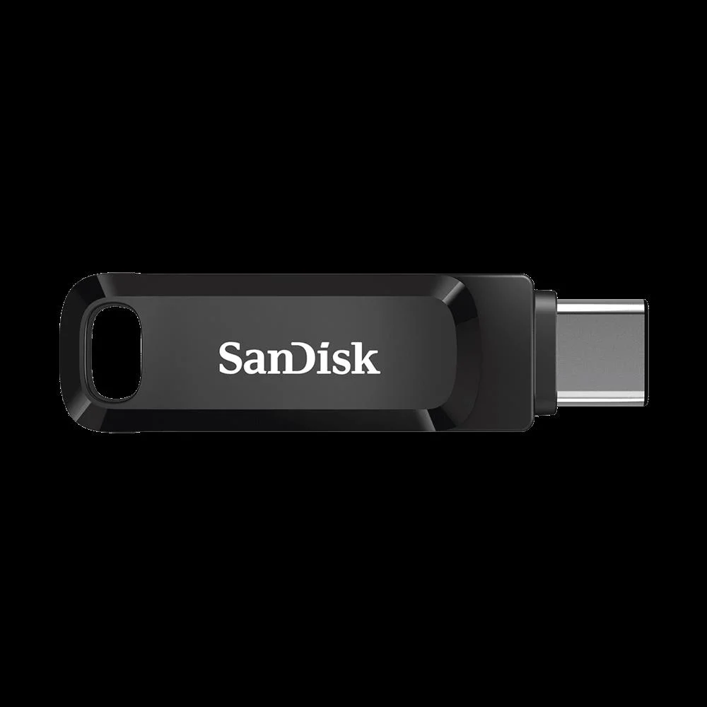 Memory Drive Flash Usb-C 256gb/Sdddc3-256g-G46 Sa.
