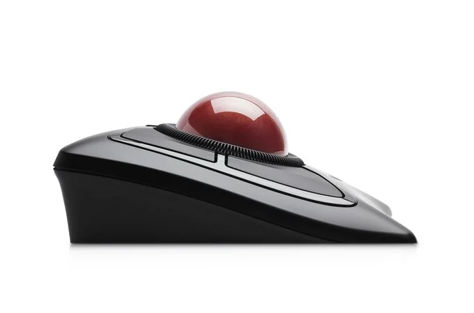 Rato Kensington ?K72359WW