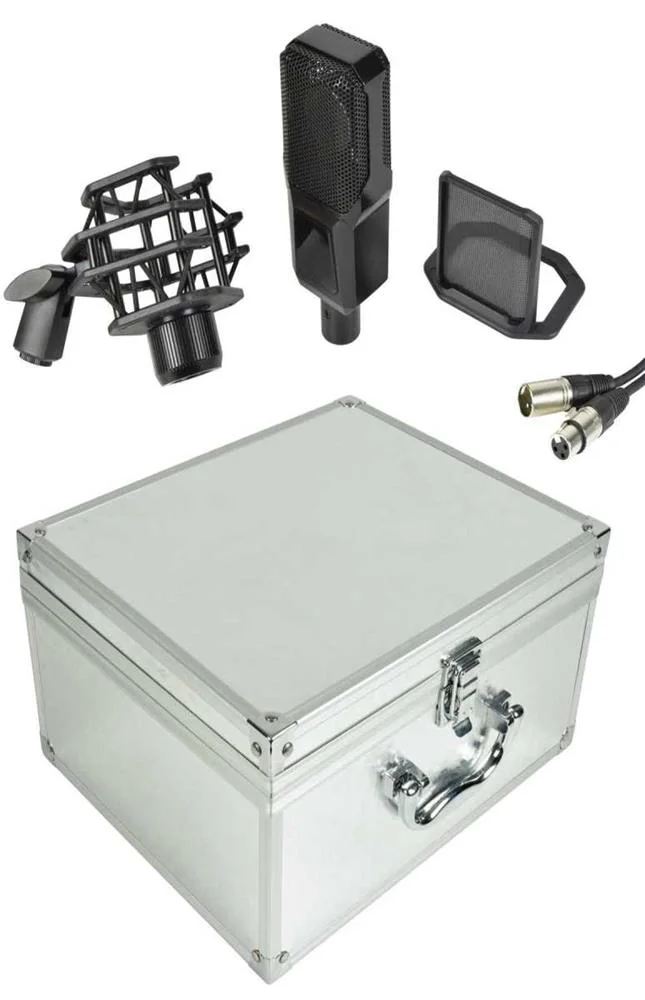 Cm25 Studio Condenser Microphone