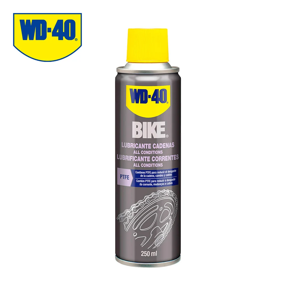 Lubrificante All Conditions 250ml Wd40