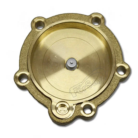 Cuerpo superior equivalente para calentador Fagor.