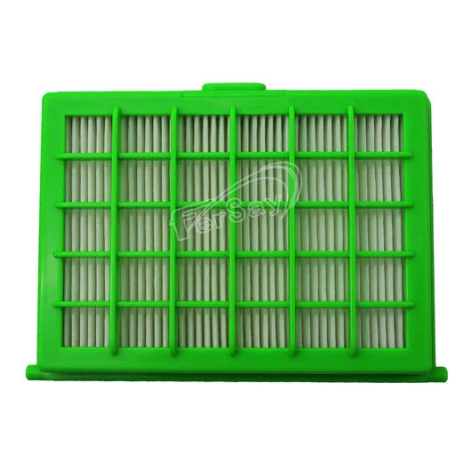 Filtro Hepa para aspirador Rowenta modelo RO2611EA