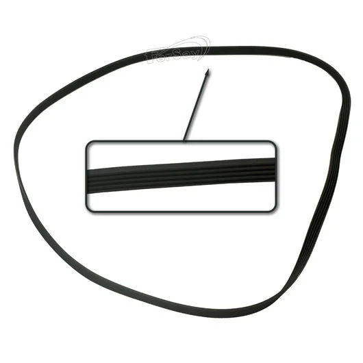 Correa para El Motor de Lavado Fagor, Aeg 1269j5