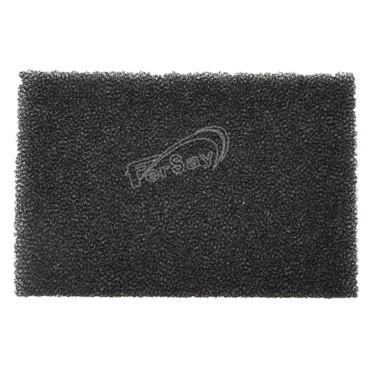 Filtro motor aspirador AEG Electrolux 9000844887
