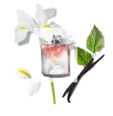 Lancome La Vie Est Belle Edp Fragrance For Women .