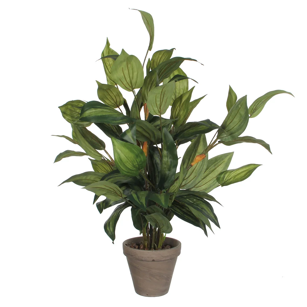 Planta Artificial Hosta Verde Edm