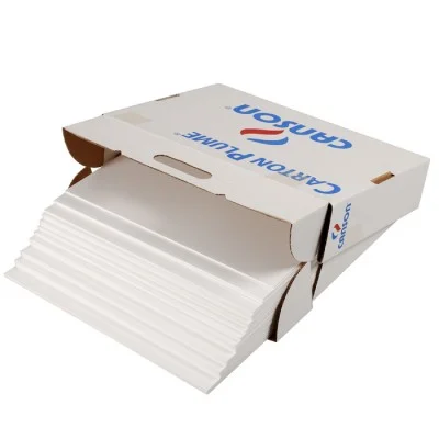 Hoja Carton Pluma A3 3mm Blanco Guarro Canson C20.