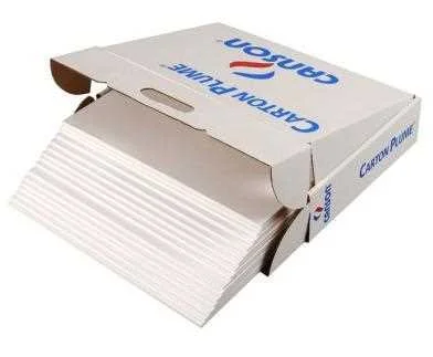 Carton Pluma A3 5mm Bl Canson C205154223