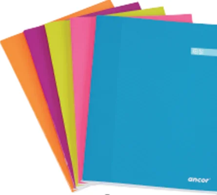 Libreta Folio Cst 48 Hojas 60g Q4x4 St Ancor 0612.