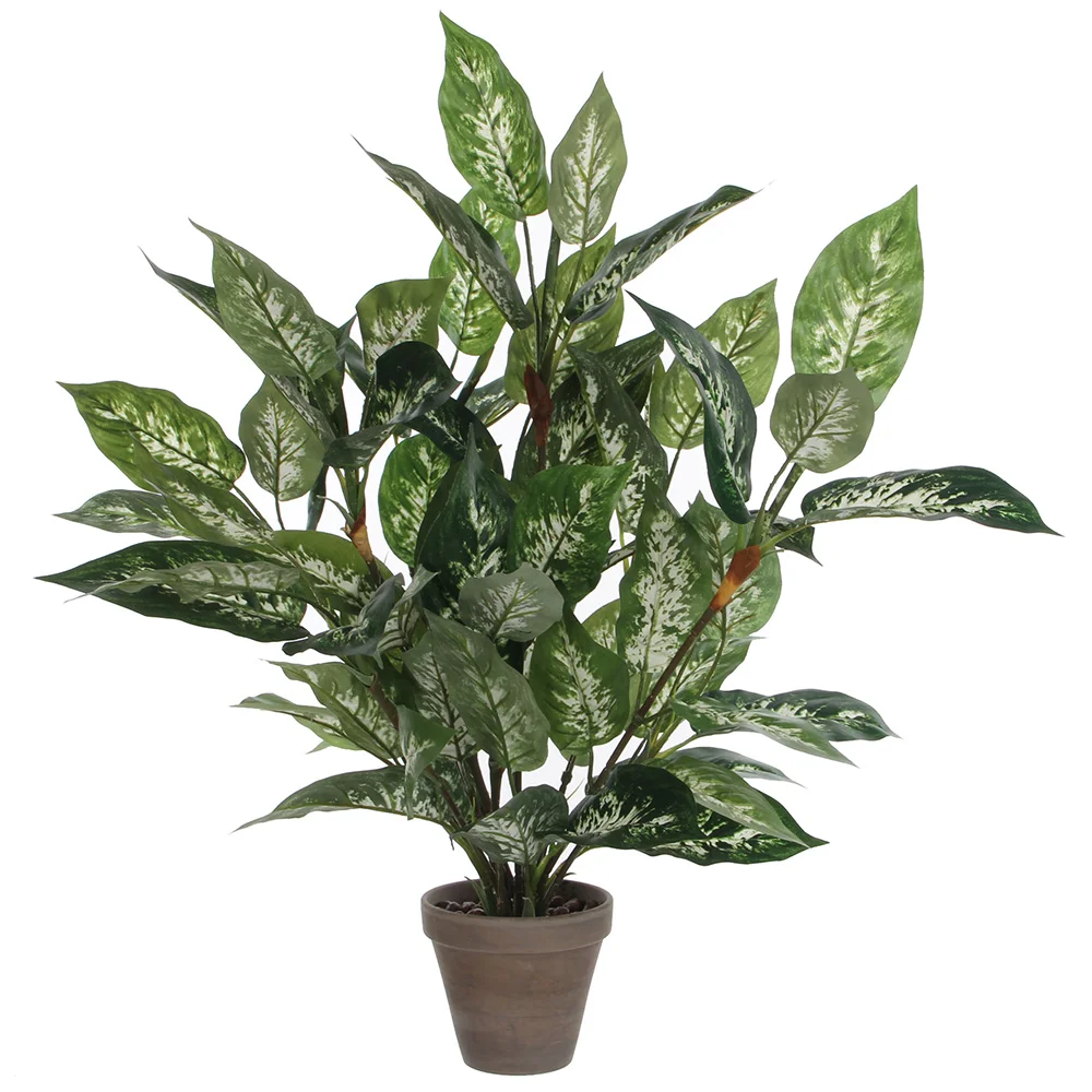 Dieffenbachia Verde Pvc em Vaso Cinzento