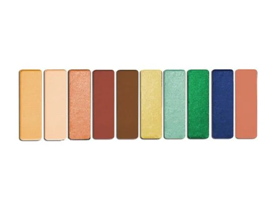 Eye Shadow Color Icon 10 Pan 10g