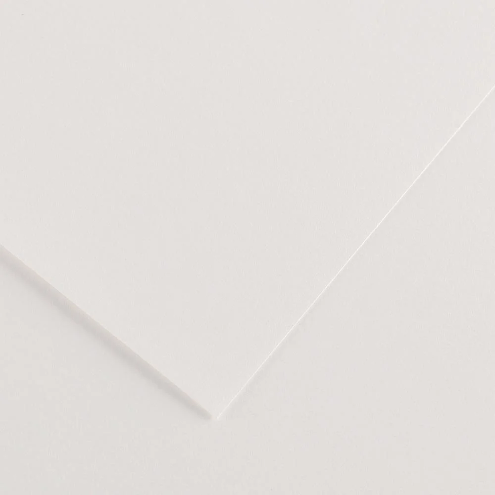 P.25 FOLH CART 50X65 BL 0004021 8