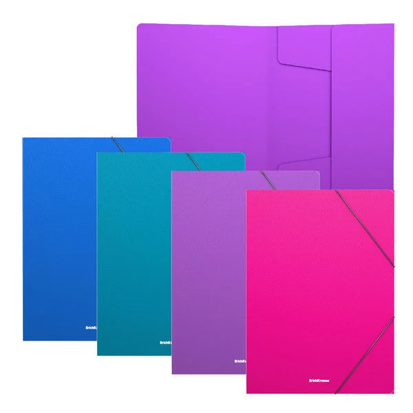 CARPETA CON GOMAS ELµSTICAS DIAGONAL VIVID, A4, C.