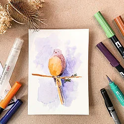 Tombow Wcs-Nat Kit de Artesanato para Crianças
