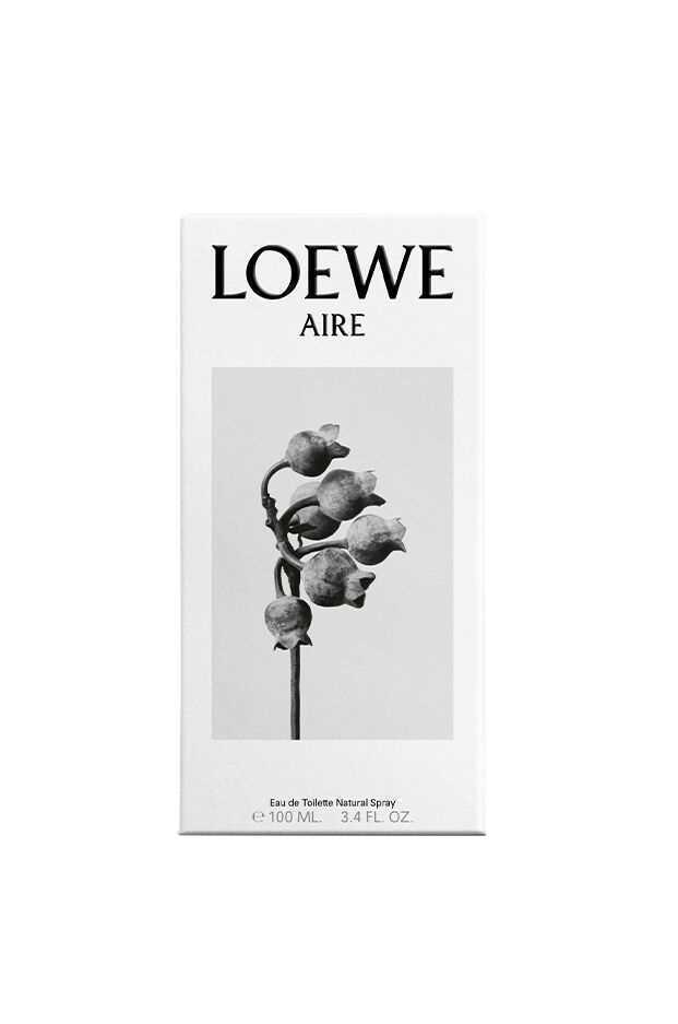 Perfume Aire Loewe EDT (100 ml)