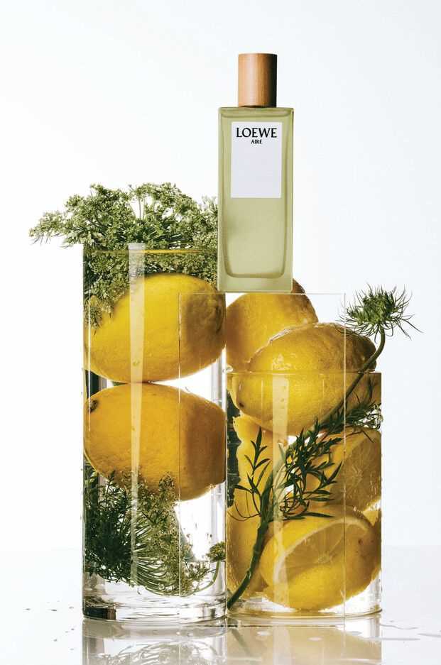 Perfume Aire Loewe EDT (100 ml)