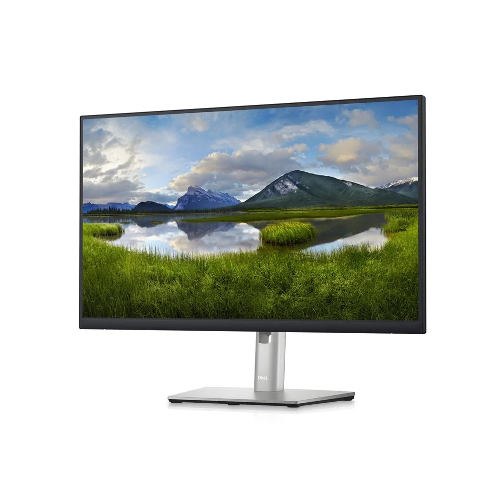 Dell Monitor 24" P2423d 60.5cm 3y Ae 