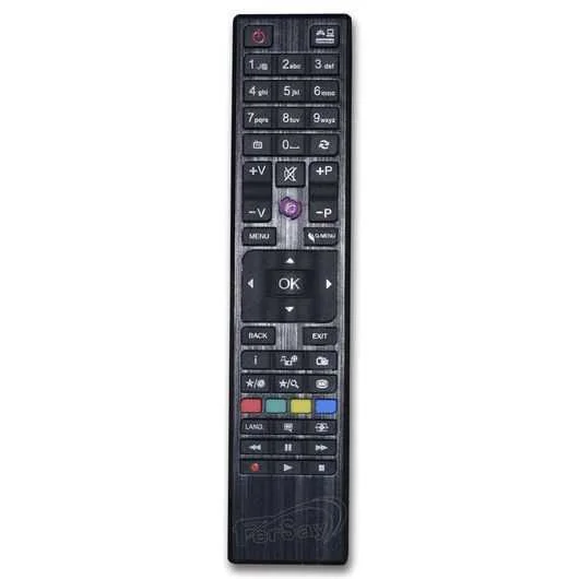 Mando televisor Vestel RC4876