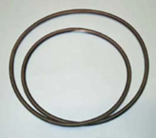 Junta do Tanque de A&ccedil;o Inoxid&aacute;vel Indesit 020941