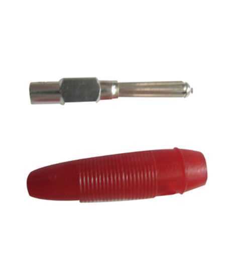 CLAVIJA  BANANA MACHO ROJO