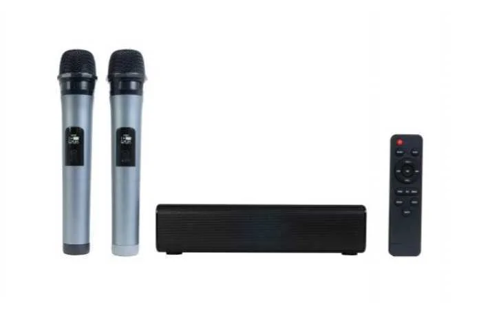 Barra de Sonido de Karaoke Portátil