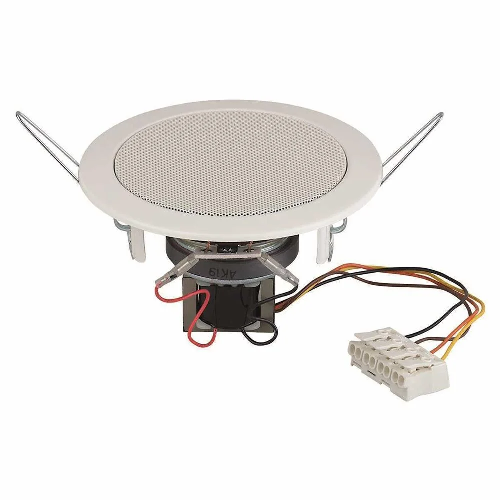 Ceiling Speaker 8 Ohm 30 W