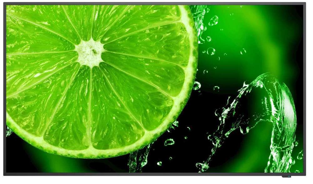 Nec Multisync E498 124,5 Cm (49") Ips 350 Cd/M² 4.