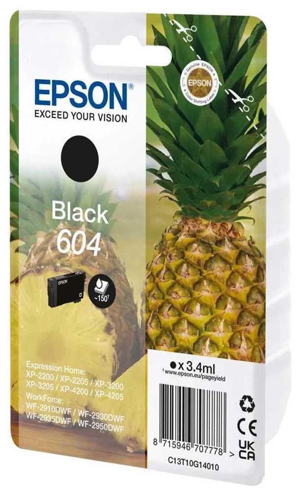 Singlepack Black 604 Ink