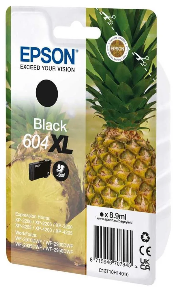 Singlepack Black 604XL Ink