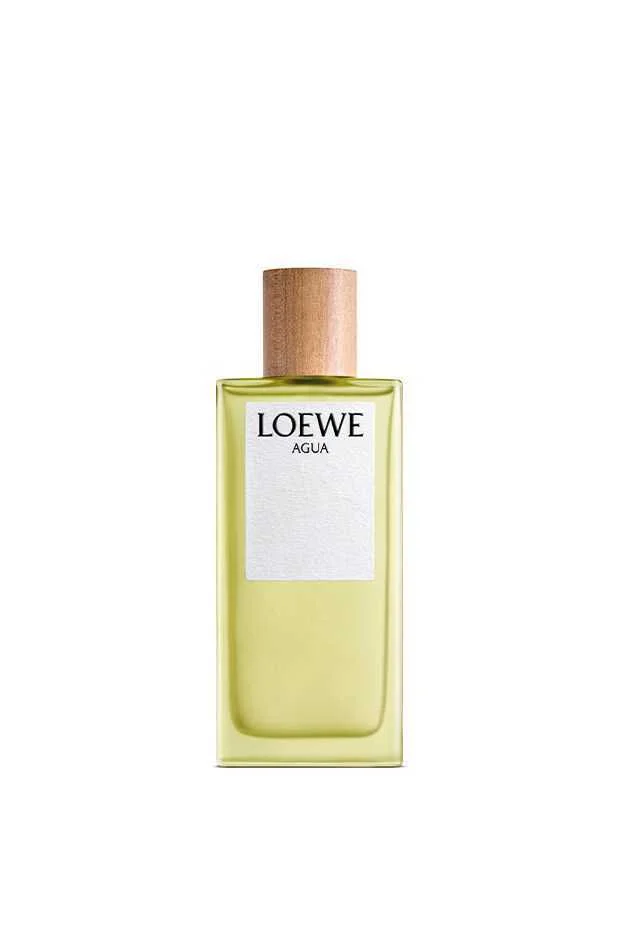 Loewe Agua Loewe Eau de Toilette 100ml