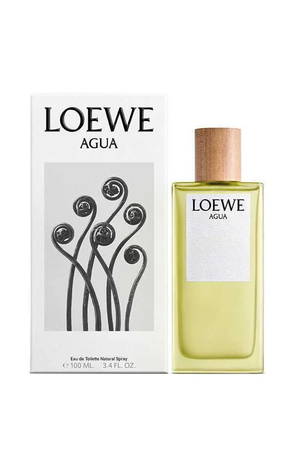 Loewe Agua Loewe Eau de Toilette 100ml