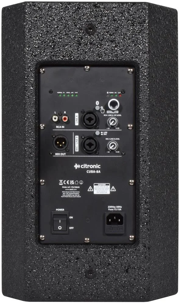 Coluna Activa 8" 500w